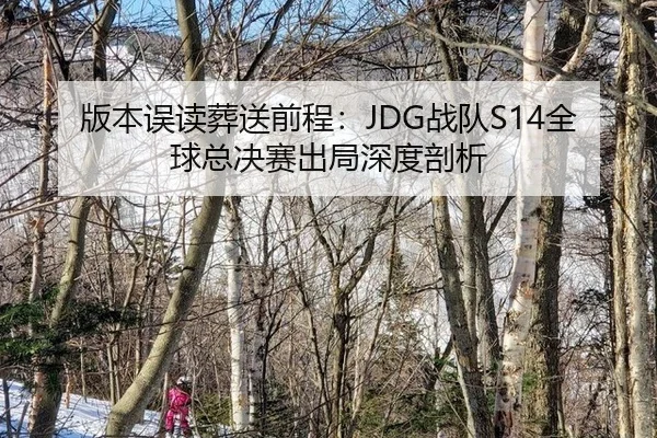 版本误读葬送前程：JDG战队S14全球总决赛出局深度剖析